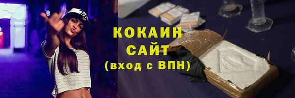 индика Дмитров