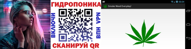 Конопля планчик  Вышний Волочёк 